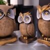 Elegant Owl Family Sculpture – Symbol of Wisdom & Prosperity (Polyresin, Brown & white Finish)