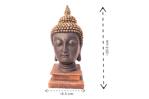 Gautam Buddha Face on Platform - Image 2