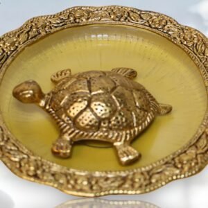 Tortoise in a glass plate