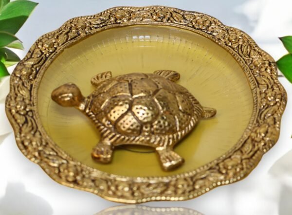 Tortoise in a glass plate