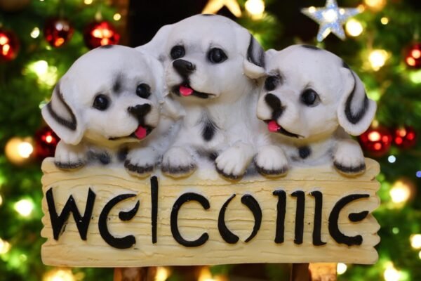 Adorable Welcome Puppies - Image 4